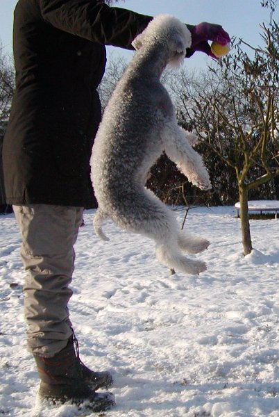 2009-12-19 Quincy (4).JPG